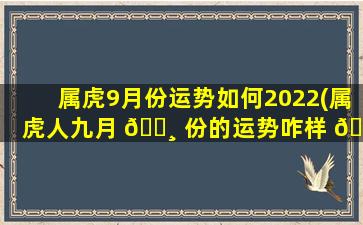 属虎9月份运势如何2022(属虎人九月 🕸 份的运势咋样 🐯 )